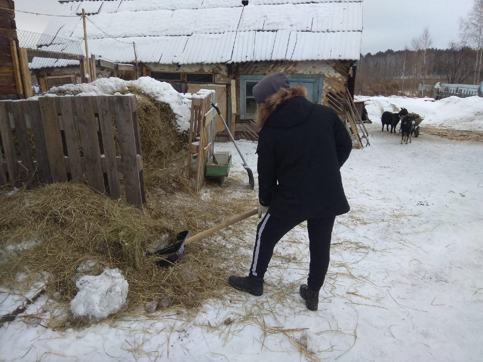 Новости зауралья курган. Снежные фигуры в Зауралье в Белозерском районе.