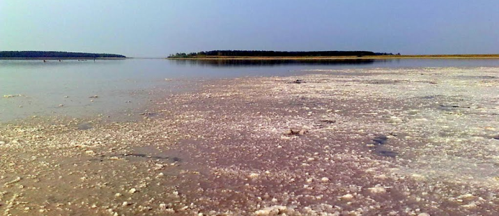 Погода озеро медвежье курганская область на месяц